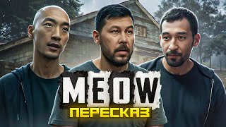 ПЕРЕСКАЗ: MEOW - КАЗАХИ, А ГДЕ КОТИКИ?!