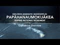 Expedition Overview: Exploring Enigmatic Seamounts in Papahānaumokuākea | Nautilus Live