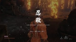 Sekiro™: Shadows Die Twice_隻狼　幻之阿碟