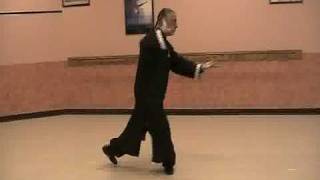 Tai Chi Chuan, Yang Style-Section 3