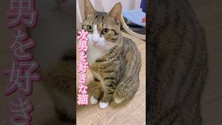 【特集】次男を好きな表情#cats #short#球太