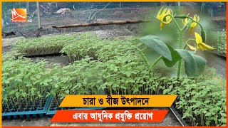 শেরপুর ঝিনাইগাতীতে আধুনিক পদ্ধতিতে চারা ও বীজ উৎপাদন | Sherpur News | Seeds Production |