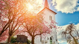 Konfirmasjon Birkeland Menighet - Lørdag 28.08 kl. 11.00