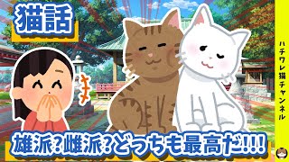 【2ch 面白い スレ】猫飼うのに猫の性別って気にする？ 猫話！ 【ゆっくり】