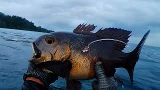 berburu ikan di pulau kayoa .. ikan yg sangat luarbiasa 😁💪