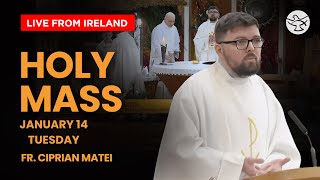 Live Daily Holy Mass || 14 January 2025 || Ss. Peter \u0026 Paul's Church || Ireland