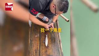 男子筏钓钓到“巨鱼”发朋友圈炫耀，第三视角还原真相，笑喷了