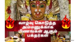 பாடை காவடி திருவிழா வலங்கைமான் ஒரு பார்வை Paadaikaavadi festival in valangaiman / Ammu Murugan