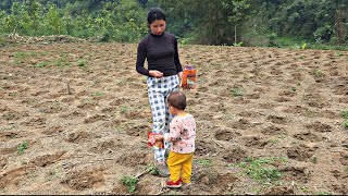 The single mother continues to grow corn on her land to improve her life: The Life of Ly Tieu Ca