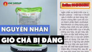 CÁC NGUYÊN NHÂN GIÒ CHẢ BỊ ĐẮNG, CHÁT  | PHỤ GIA VIỆT MỸ