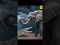 Ai Fusion| Elephant Vs Crocodile| Artificial intelligence