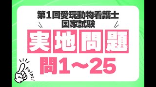 【実地問題問1～25】第1回愛玩動物看護師国家試験全問解説