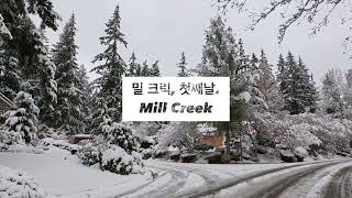 갑자기 미국, 밀 크릭 첫날 | Mill Creek, WA