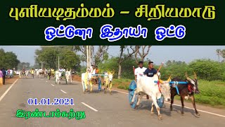 01.01.2021 சிவகங்கை மாவட்டம் புலியடிதம்பம் சிறிய மாடு இரண்டாம் சுற்று