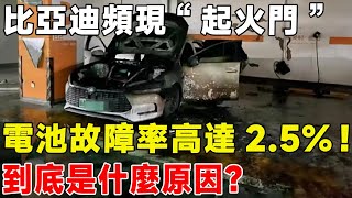 比亞迪頻現“起火門”，電池故障率高達2.5%！ 到底是什麼原因？#汽車 #熱門 #車