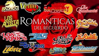 BUKIS, BRONCO, TEMERARIOS, ACOSTA, BRYNDIS, CAMINANTES, YONICS Y MAS - GRUPERAS 90S DEL RECUERDO