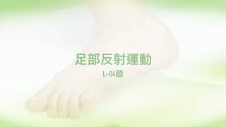 博司科技-FM-1按摩指壓木球-足部反射運動-L-04-膝