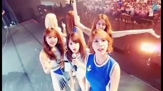 150829 Apink Broadcast (Bangkok Fanmeeting)