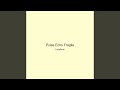 Pulse Echo Fragile