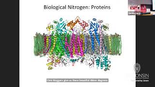 Nitrogen and Ammonia: From the Industrial Revolution to a Future Nitrogen Economy