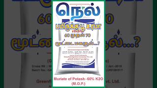 🍭🍭 நெல் பயிருக்கு பூ உரம் #potash #ammoniumsulphate #fertilizer #paddycrop #trending #viralvideo 🍭🍭