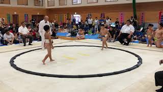 第6回嘉風杯 小学一年の部準決勝