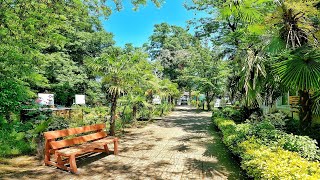 Hirkan National Park - Walking in Forest  (May 2021)  Azerbaijan - Walking Tour 《4k Ultra HD》