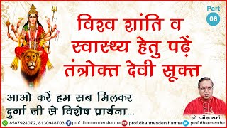 विश्व शांति व स्वास्थ्य हेतु पढ़ें श्री तंत्रोक्त देवी सूक्त - प्रो. धर्मेन्द्र शर्मा