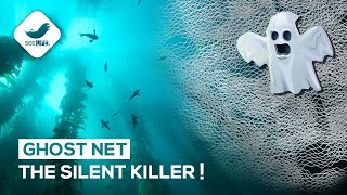 What is a Ghost Net? | The Silent Killer of Ocean!