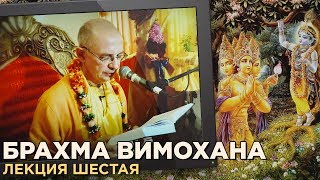 2016.08.18 - Брахма-вимохана-лила. Лекция 6 (Литва) - Бхакти Вигьяна Госвами