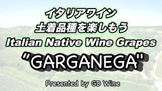 イタリアワイン土着品種を楽しもう/Italian Native Grapes #43 \