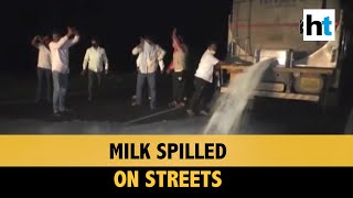 Watch why farmers' group spilled milk on the streets of Sangli