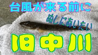 釣り動画ロマンを求めて 193釣目（旧中川）