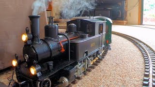 Rare Model Steam Train Runs Inside My House