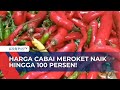 Harga Cabai Melonjak Naik, Diduga Terimbas Gagal Panen Akibat Kemarau Panjang