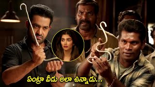 Jr NTR And Chammak Chandra Superb Comedy Scene | Pooja Hegde | Jagapathi Babu | BB Movies