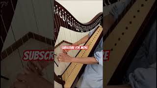 ഞാൻ Harp വായിക്കുന്നത് കാണാം😍🎶 #italy #shortvideo #shortviral #short #harp