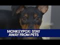 Monkeypox: Those infected should stay away from pets | FOX 7 Austin