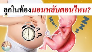 พัฒนาการทารกในครรภ์ : ทารกในครรภ์หลับตอนไหน?? | การนอนของทารกในครรภ์ | คนท้อง Everything