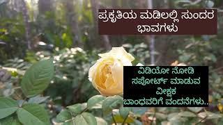 ನೀನಿಲ್ಲದೇ ನನಗೇನಿದೆ...ಸುಂದರ ಭಾವಗೀತೆಗಳು.| Smt.M.S.Bhat.