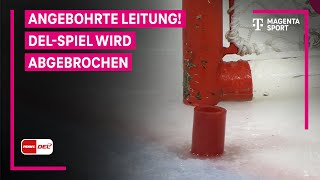 Spielabbruch in Bremerhaven! | PENNY DEL | MAGENTA SPORT