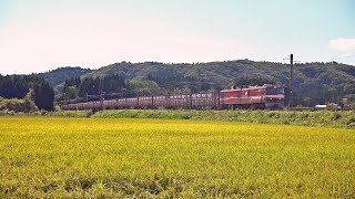 電気機関車EH800（11）　～秋晴れの8055レ芋臨～