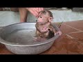 monkey david bathes and relaxes super cute💕😘😍