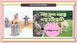 (누가복음 10:1-24) 어린 양이 이리를 이길 수 있을까