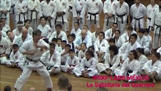 Karate - W.S.K.F. - Seminario - Hitoshi Kasuya Sensei - Tokio, 2019