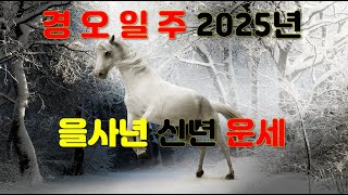 경오일주, 2025년 을사년 신년운세 사주분석