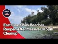 East Coast Park Beaches Reopen After Massive Oil Spill Cleanup: Is the Water Safe Now?