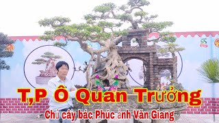 Thăm quan tác phẩm Ô Quan Trưởng của Bác Phúc ảnh Văn Giang