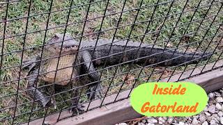 Gatorland Orlando 🐊 Full Tour & Wildlife Review (WSA Scorecard)