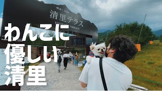 わんこと清里旅行①：清里テラス/サントヴィラージュ